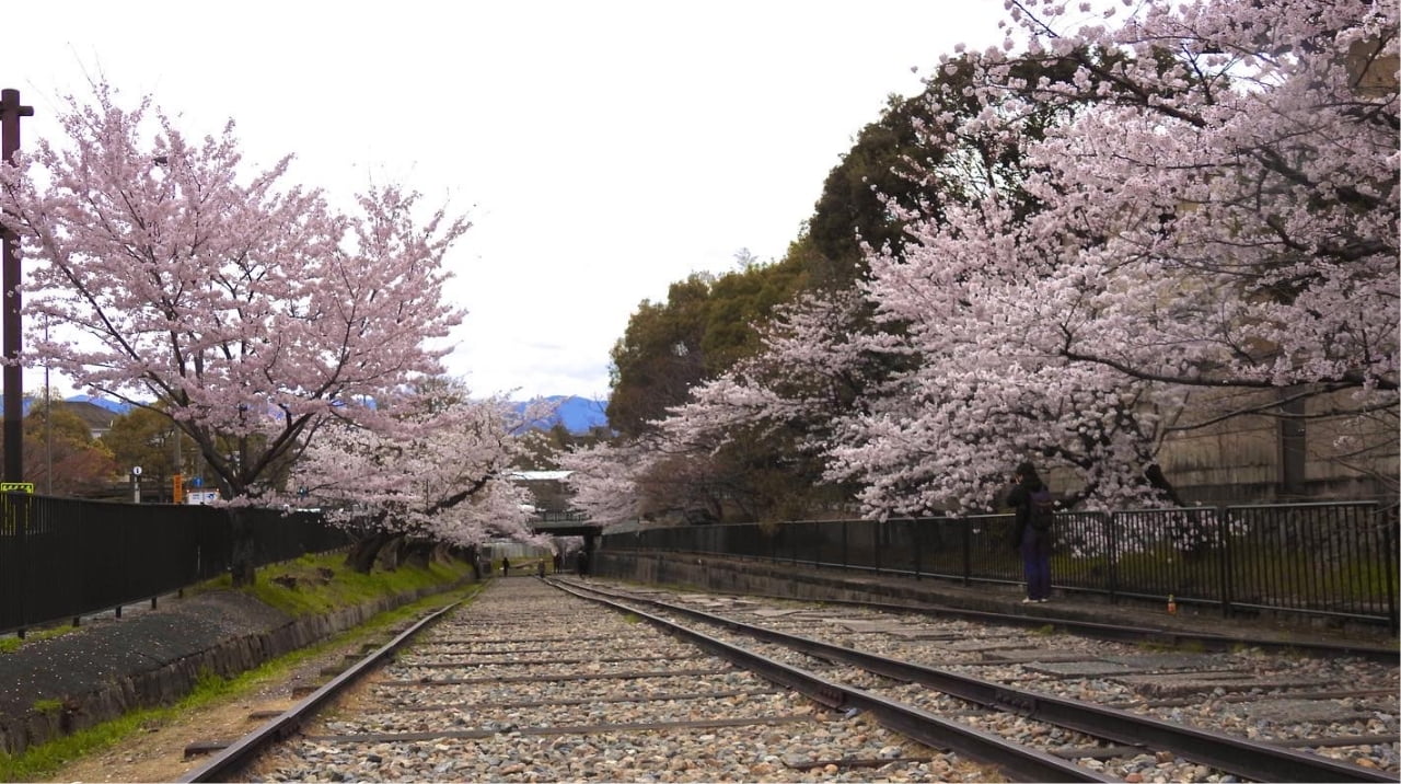 京都市内観光プラン