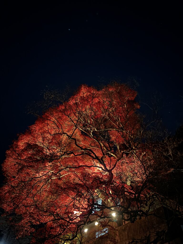 China’s call for travel restraint 