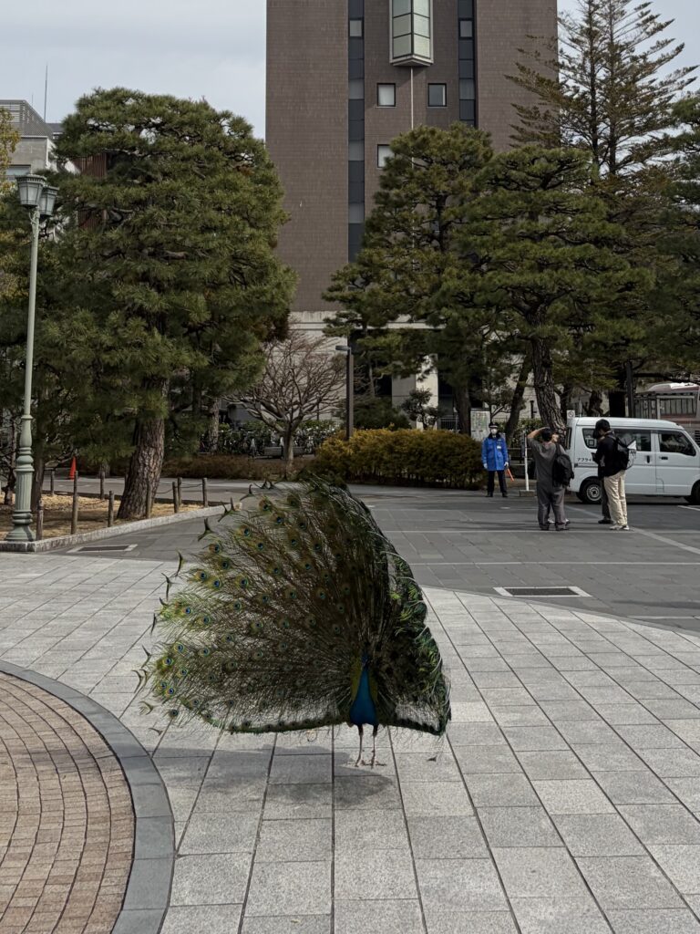 いよいよ京都大学２次試験