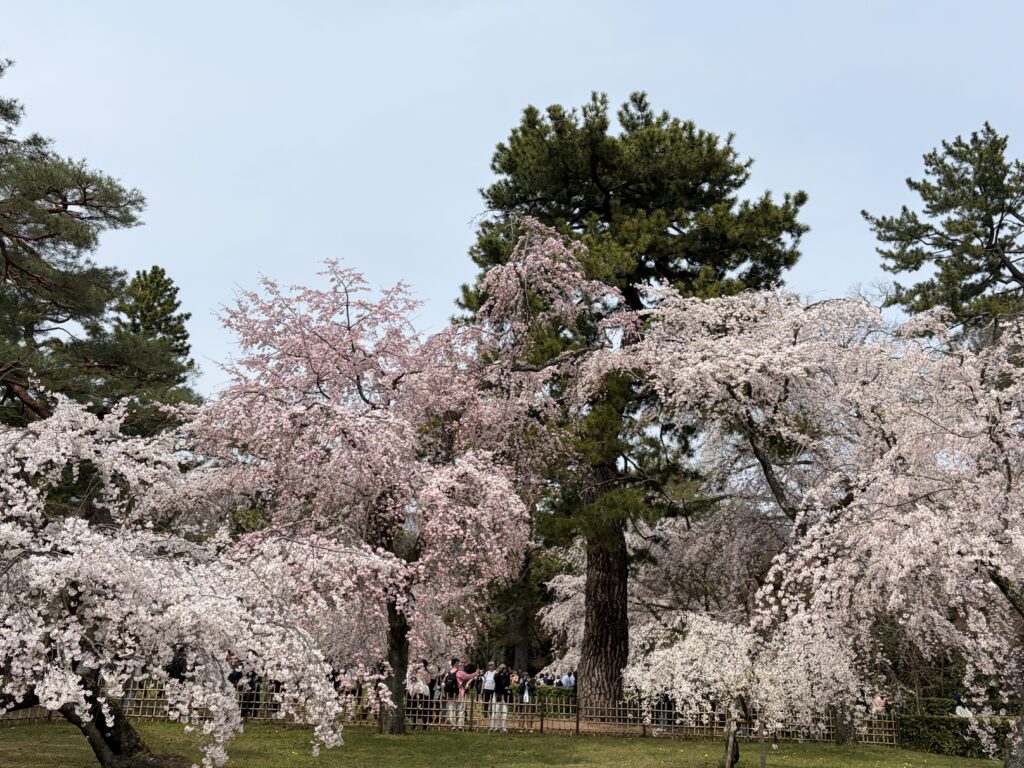 開業8年目を迎えました