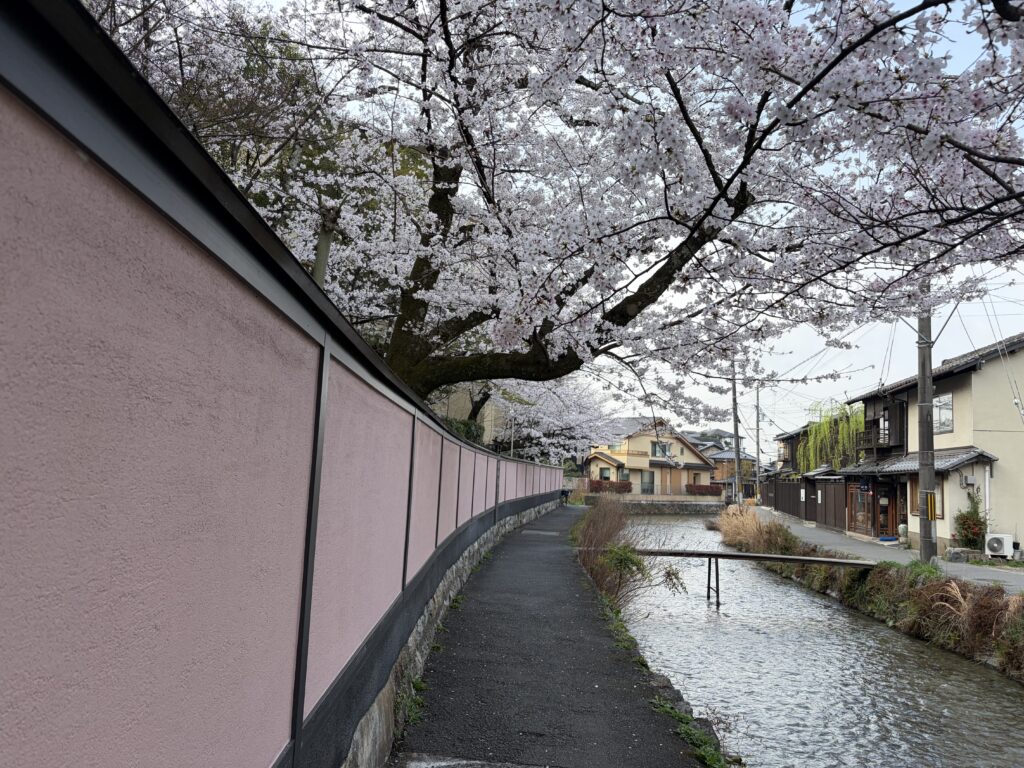 白川筋のもっこ橋