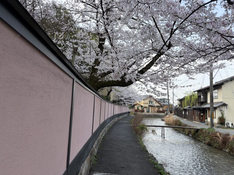 白川筋のもっこ橋