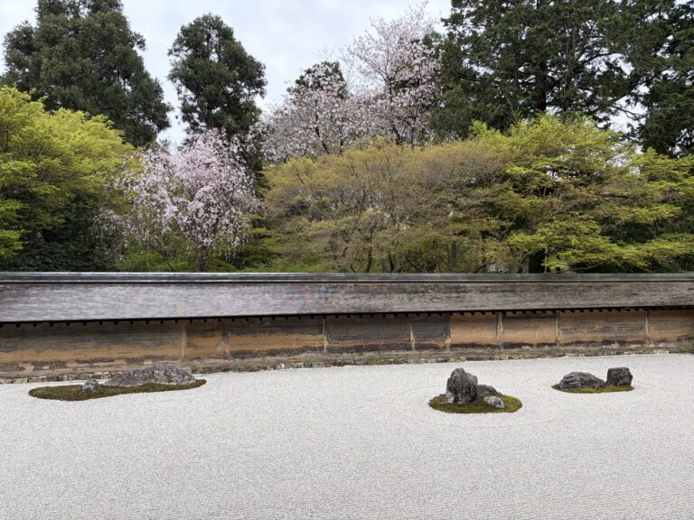 龍安寺のヤエベニシダレ