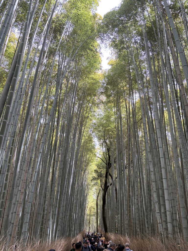 Arashiyama ce week-end