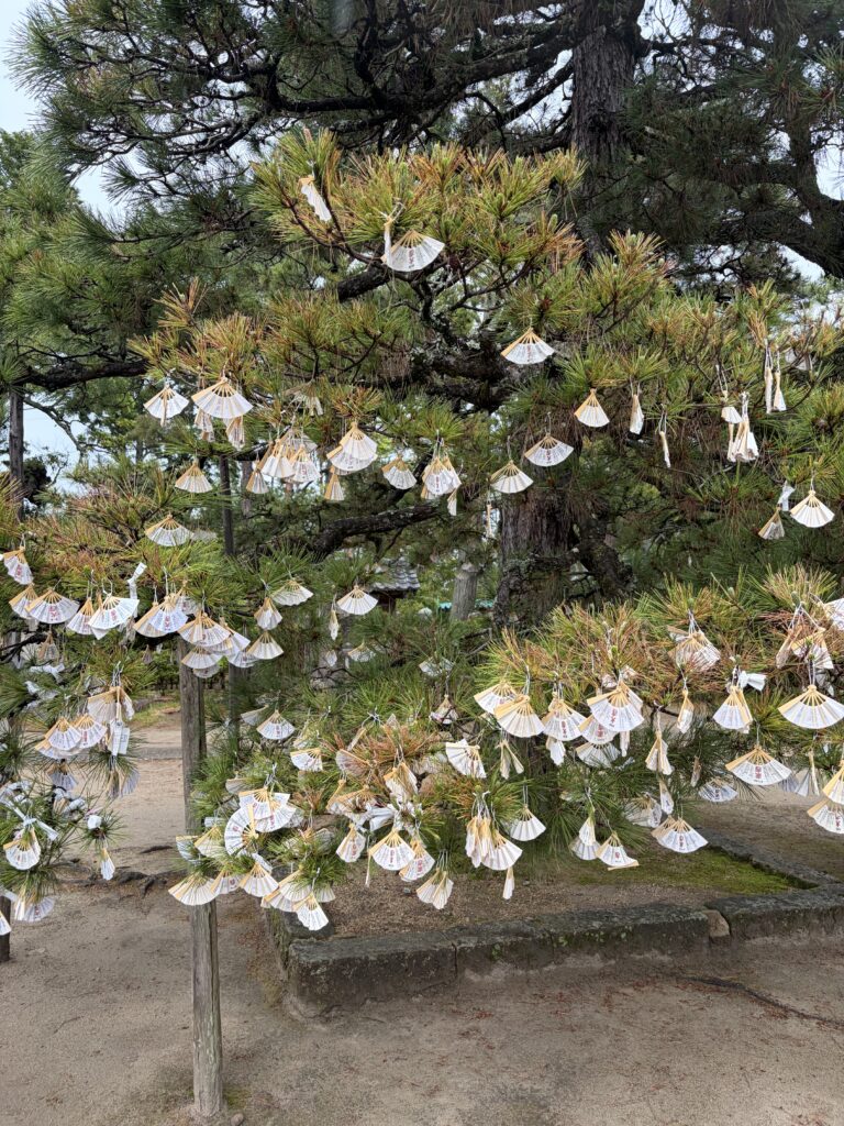 天橋山知恩寺のおみくじ