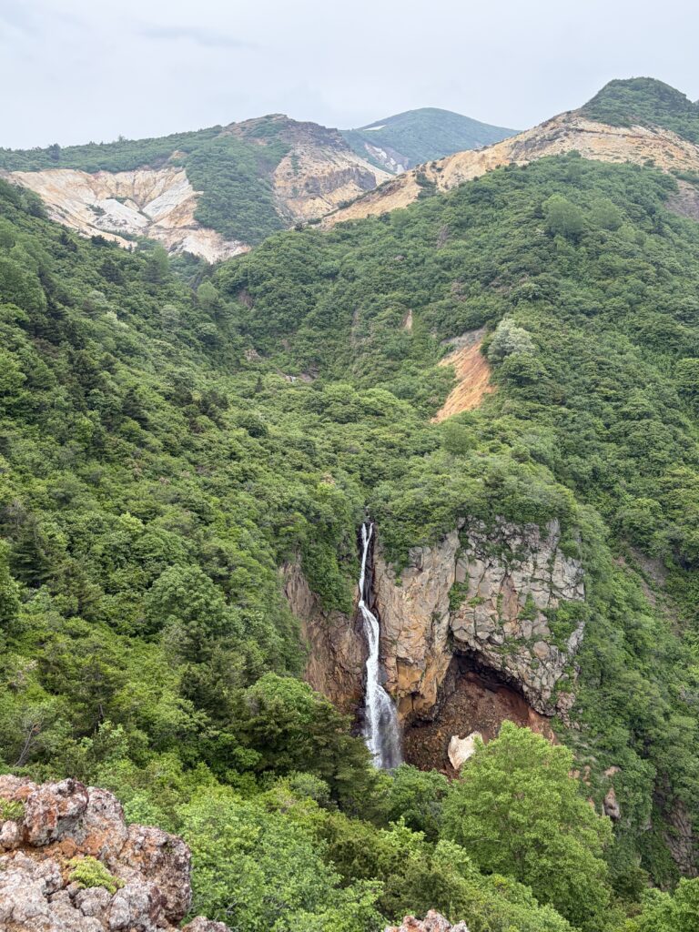 駒草平