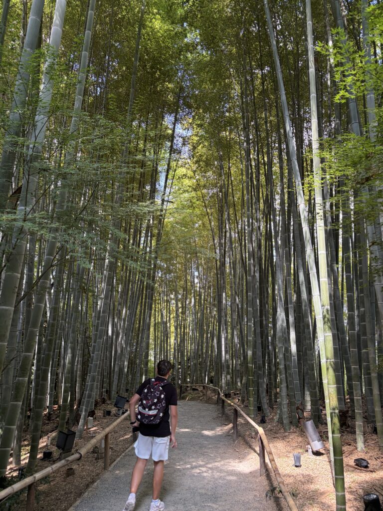 Forêt de bambous du Kōdaiji