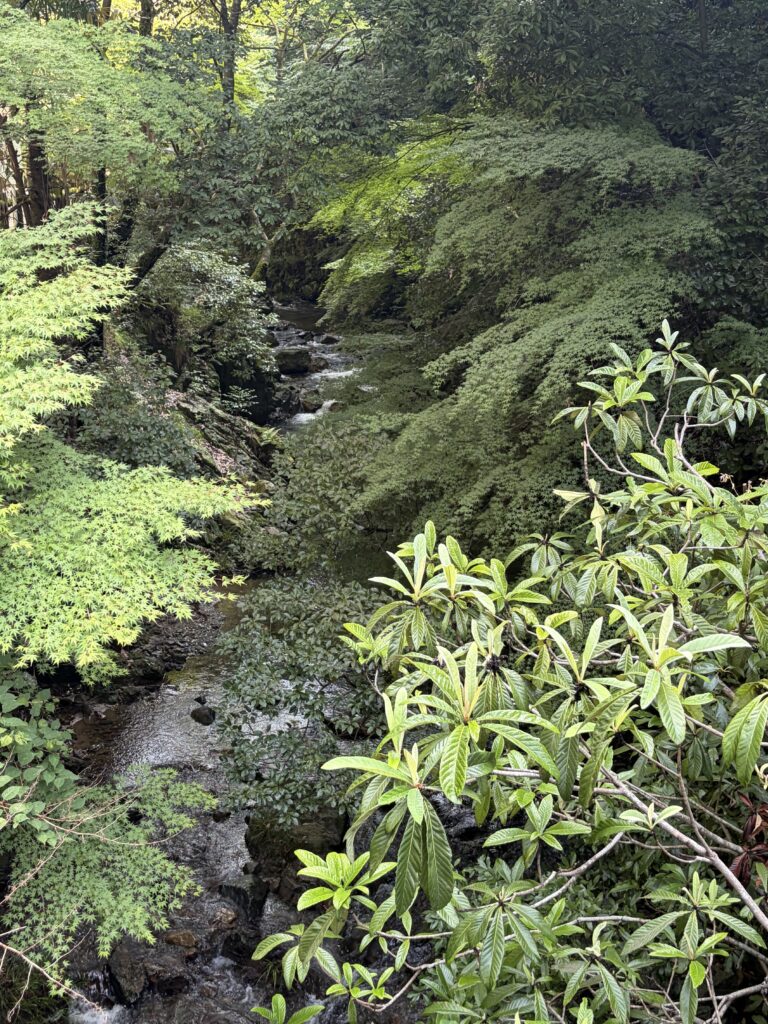 箕面公園