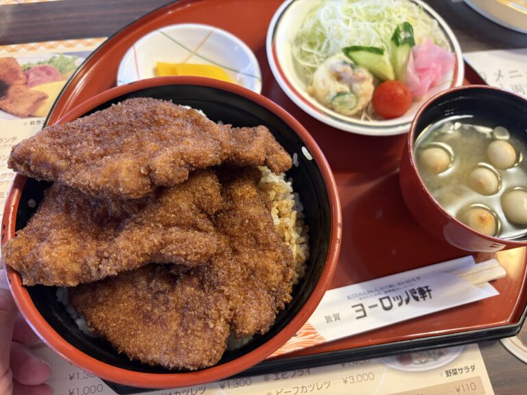 Sauce Katsudon